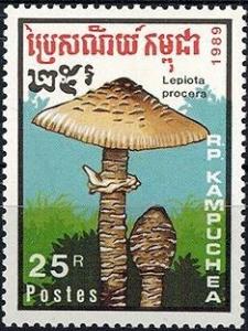 Colnect-2931-783-Macrolepiota-procera.jpg