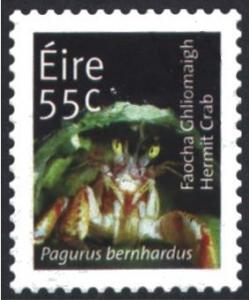 Colnect-1325-664-Hermit-Crab-Pagurus-bernhardus.jpg