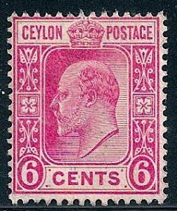 STS-Ceylon-2-300dpi.jpg-crop-267x317at1830-2932.jpg