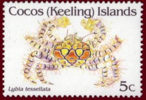 Colnect-1292-528-Boxer-Crab-Lybia-tessellata.jpg