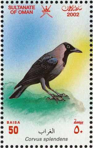 Colnect-1464-143-House-Crow-Corvus-splendens.jpg