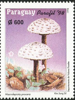 Colnect-2305-619-Macrolepiota-procera.jpg