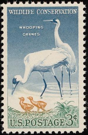 Colnect-2482-666-Whooping-Crane-nbsp-Grus-americana.jpg