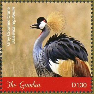 Colnect-5033-998-Grey-Crowned-Crane----Balearica-regulorum.jpg