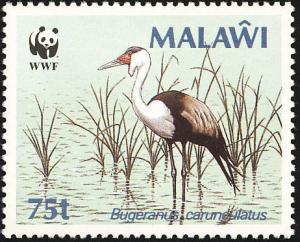 Colnect-864-284-Wattled-Crane-Grus-carunculata.jpg