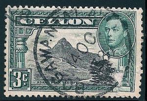 STS-Ceylon-4-300dpi.jpg-crop-480x331at1887-786.jpg