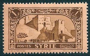 STS-Syria-4-300dpi.jpg-crop-501x314at841-820.jpg