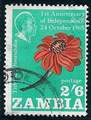 STS-Zambia-1-300dpi.jpg-crop-334x440at2186-1237.jpg