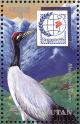 Colnect-1720-421-Black-necked-Crane-Grus-nigricollis-nbsp-.jpg