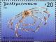 Colnect-2874-934-Spider-Crab-Cyrtomaia-ericina.jpg