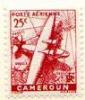 ARC-cameroons10.jpg-crop-95x111at151-5.jpg