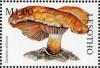 Colnect-1736-210-Lactarius-deliciosus.jpg