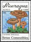 Colnect-3509-374-Lactarius-deliciosus.jpg