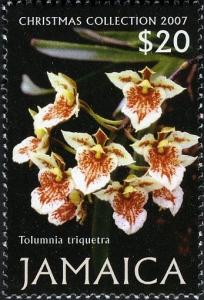 Colnect-2744-240-Christmas-Collection-2007--Tolumnia-triquetra.jpg