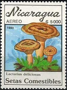 Colnect-2934-307-Lactarius-deliciosus.jpg