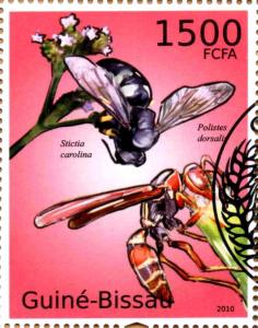 Colnect-3739-581-Horse-Guard-Wasp-Stictia-carolina-Paper-Wasp-Polistes-do.jpg