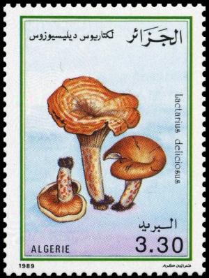 Colnect-3521-414-Lactarius-deliciosus.jpg