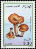 Colnect-3521-414-Lactarius-deliciosus.jpg