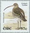 Colnect-129-896-Eurasian-Curlew-Numenius-arquata.jpg