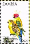 Colnect-3507-595-Budgerigar%C2%A0--Melopsittacus-undulatus-Blossom-headed-Parakee%E2%80%A6.jpg