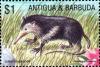 Colnect-3904-931-Cuban-solenodon.jpg