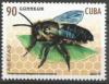 Colnect-4628-810-Patchwork-Leaf-cutter-Megachile-centuncularis.jpg