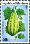 Colnect-5403-071-Cucumis-sativus.jpg