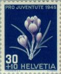 Colnect-139-834-Dutch-crocus-Crocus-neapolitanus.jpg