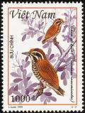 Colnect-1613-114-Speckled-Piculet-Picumnus-innominatus-.jpg