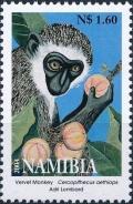 Colnect-3696-649-Cercopithecus-oethiops-Vervet-Monkey.jpg