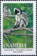 Colnect-3696-651-Cercopithecus-oethiops-Vervet-Monkey.jpg