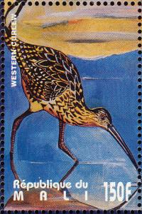 Colnect-2376-027-Western-Curlew-Numenius-arquata.jpg