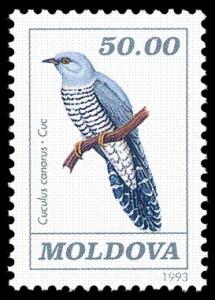 Colnect-348-285-Common-Cuckoo-Cuculus-canarus.jpg