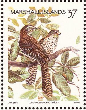 Colnect-1599-558-Long-tailed-Cuckoo%C2%A0Urodynamis-taitensis.jpg