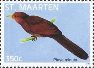 Colnect-2624-048-Little-Cuckoo-Coccycua-minuta.jpg