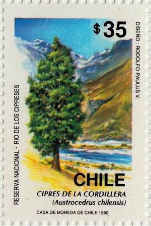 Colnect-2722-834-Cipr-eacute-s-de-la-cordillera.jpg