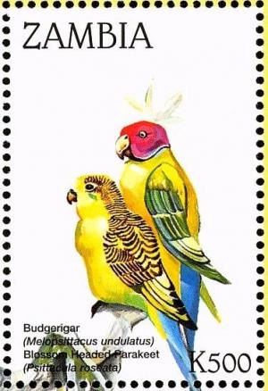 Colnect-3507-595-Budgerigar%C2%A0--Melopsittacus-undulatus-Blossom-headed-Parakee%E2%80%A6.jpg