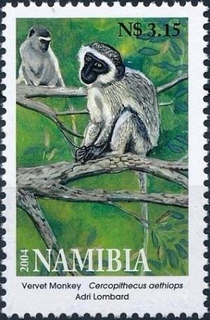 Colnect-3696-651-Cercopithecus-oethiops-Vervet-Monkey.jpg