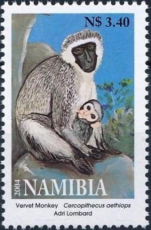 Colnect-3696-653-Cercopithecus-oethiops-Vervet-Monkey.jpg