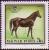 Colnect-605-635-Horse--quot-Baj-aacute-n-quot--Equus-ferus-caballus.jpg