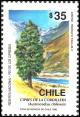 Colnect-2912-484-Cipr-eacute-s-de-la-cordillera.jpg