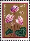 Colnect-3105-749-Cyclamen-greacum.jpg