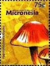 Colnect-5782-131-Hygrocybe-constrictospora.jpg