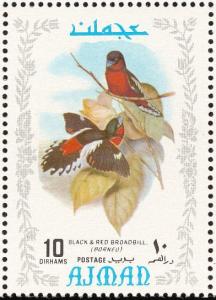 Colnect-1786-005-Black-and-red-Broadbill-Cymbirhynchus-macrorhynchus-nbsp--nbsp-.jpg