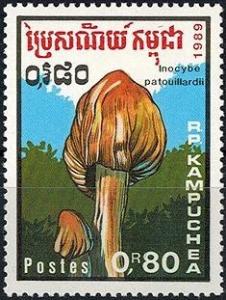 Colnect-2931-778-Inocybe-patouillardii.jpg