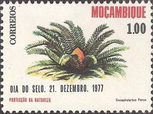 Colnect-1115-468-Zululand-Cycad-Encephalartos-ferox.jpg