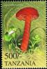 Colnect-4484-750-Hygrocybe-coccineacrenata.jpg