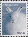 Colnect-201-211-Arctic-Hare-Lepus-timidus.jpg