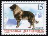 Colnect-568-325-Sarplaninac-Canis-lupus-familiaris.jpg