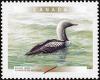 Colnect-583-240-Pacific-Loon-Gavia-pacifica.jpg